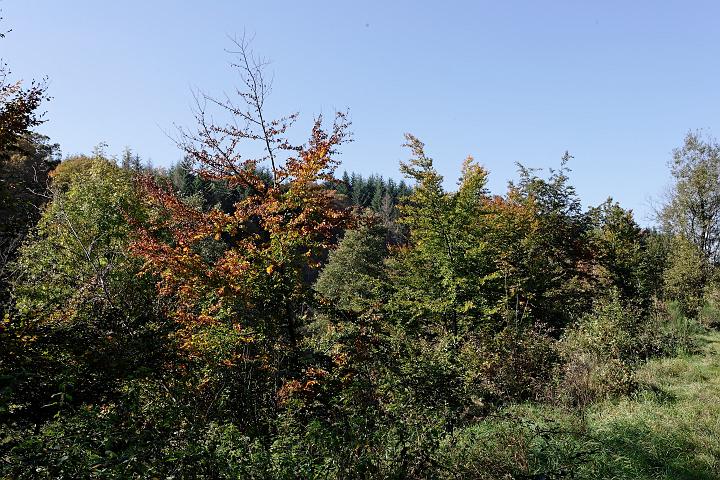 _V4Z7059.jpg