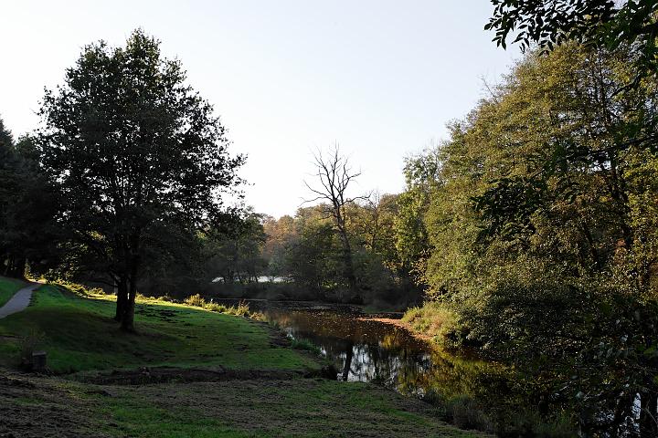 _V4Z7168.jpg