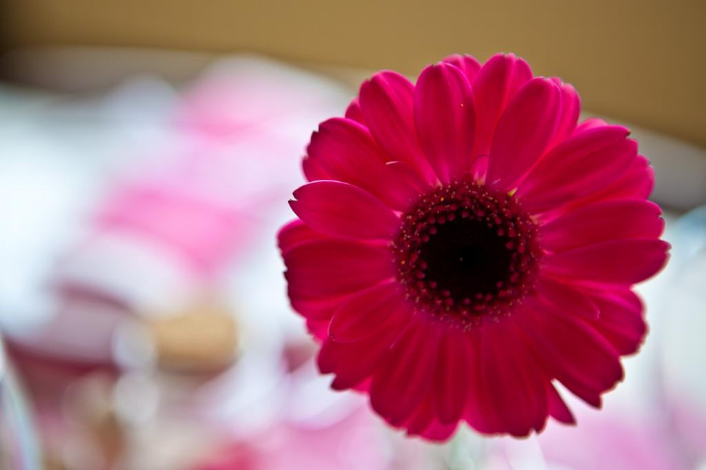 IMG_3151.jpg