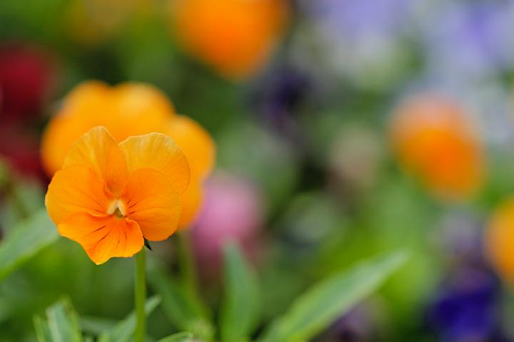 _MG_3300.jpg