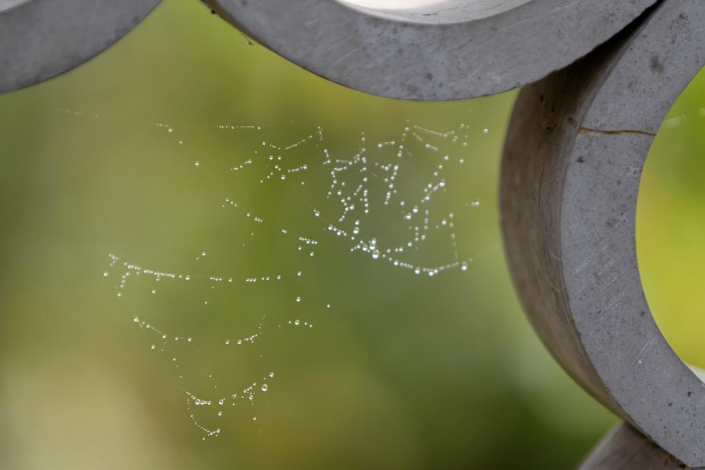 _MG_1416.jpg