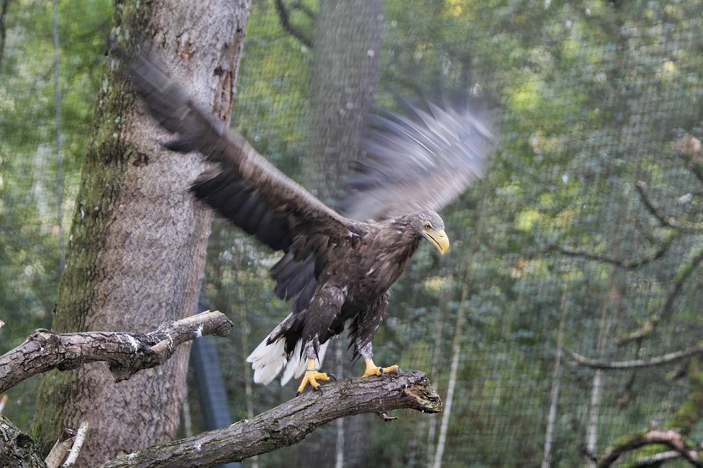 _MG_1760.jpg