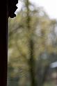 _MG_1494