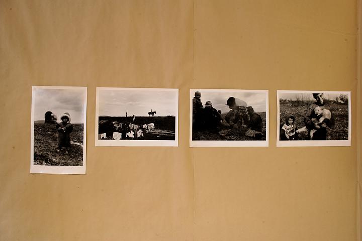 VI7M3934_raw.jpg