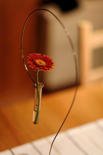 VI7M0083.jpg