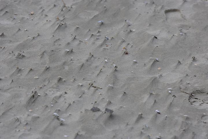 VI7M8460_raw.jpg