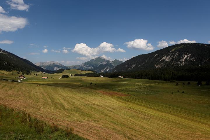 IMG_5258.jpg