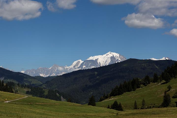 IMG_5468.jpg