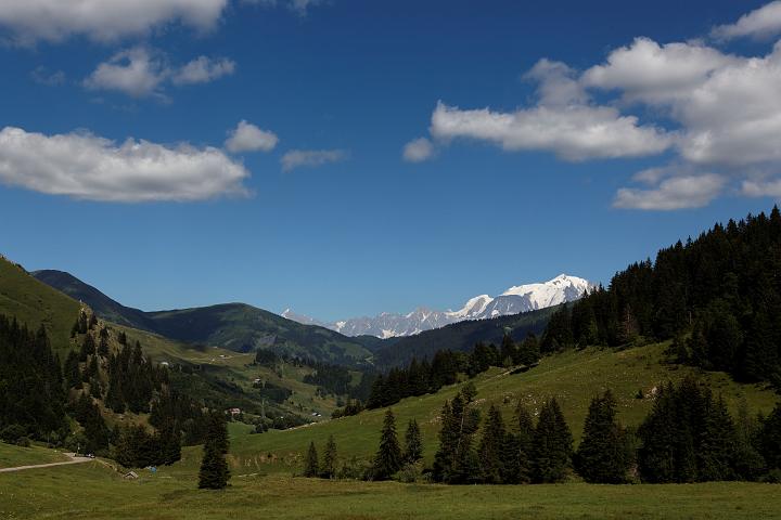 IMG_5471.jpg