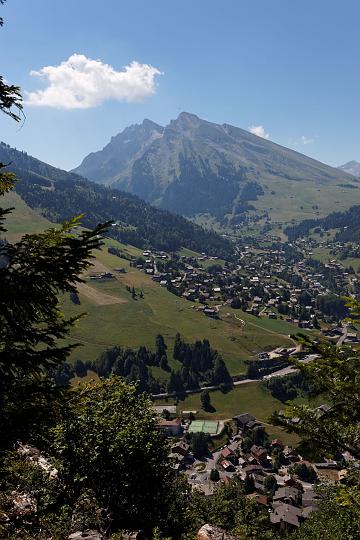 IMG_5508.jpg