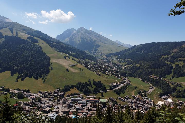 IMG_5509.jpg