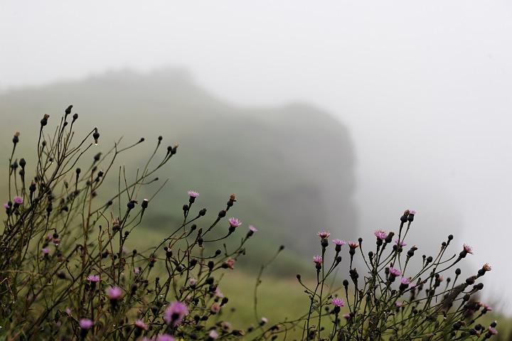 VI7M2647_raw.jpg