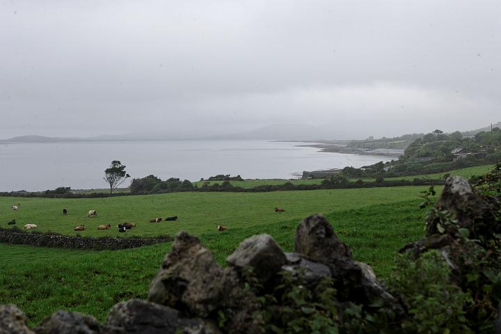 VI7M2684_raw.jpg