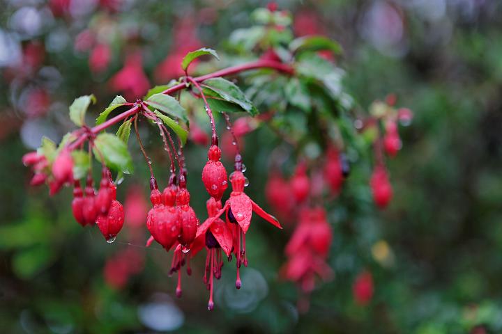 VI7M2892_raw.jpg