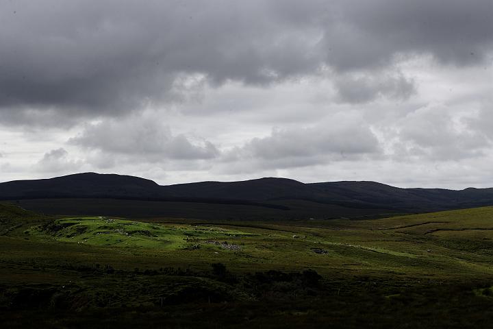 VI7M2978_raw.jpg