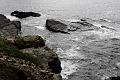 VI7M2474_raw