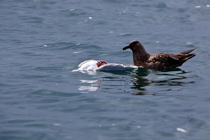 IMG_3737.jpg