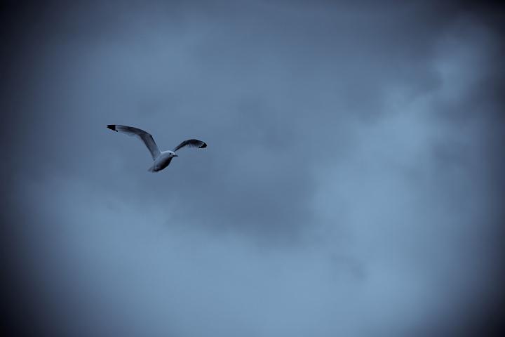 IMG_4908.jpg
