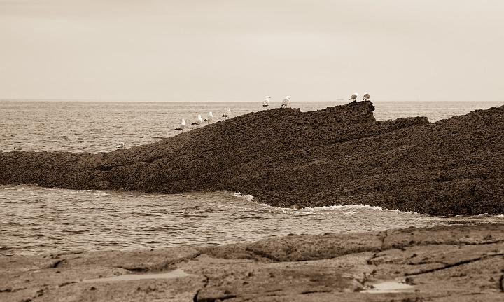 IMG_5238.jpg