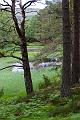 IMG_4343
