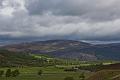 IMG_4548