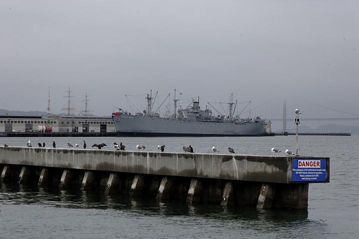 VI7M3964_raw.jpg