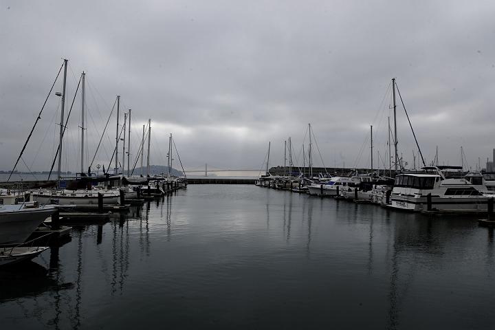 VI7M3981_raw.jpg