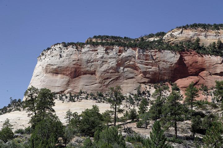 VI7M5229_raw.jpg