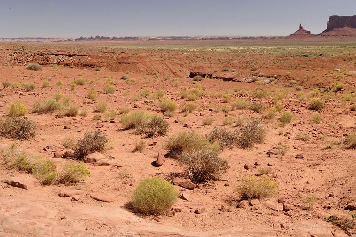 VI7M5622_raw.jpg