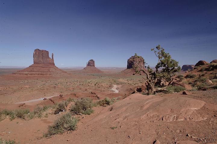 VI7M5741_raw.jpg