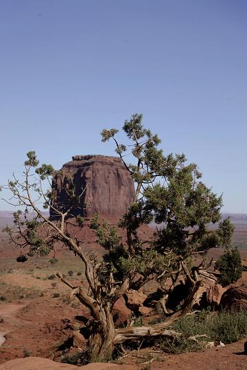 VI7M5743_raw.jpg