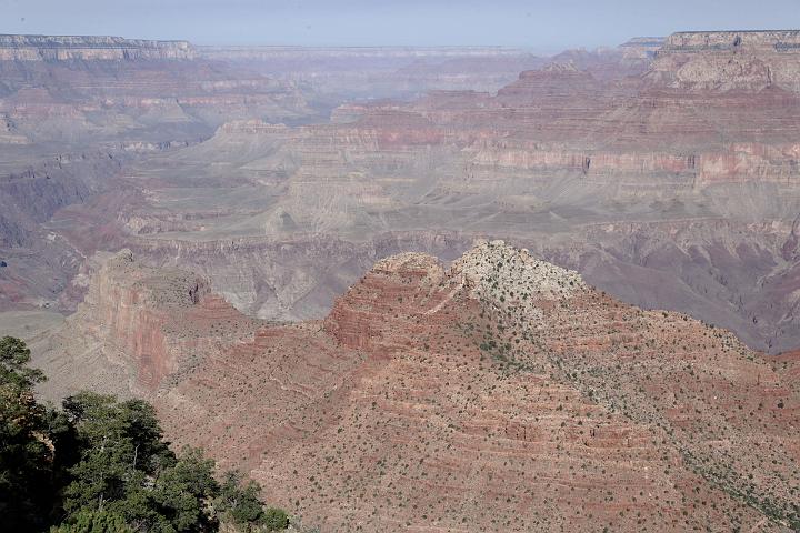 VI7M5861_raw.jpg