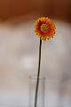 VI7M0354_raw
